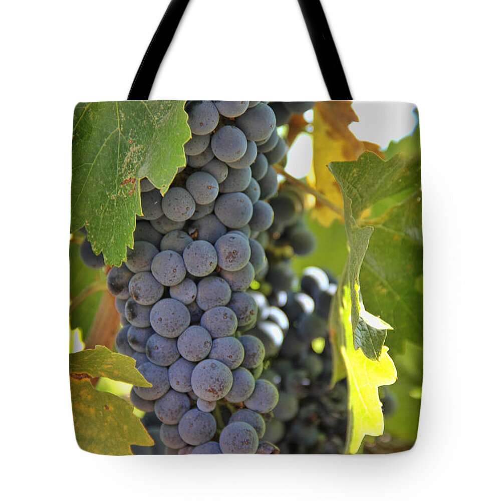 Wine Tote Bag featuring the photograph In the Vineyard by Nancy Ingersoll