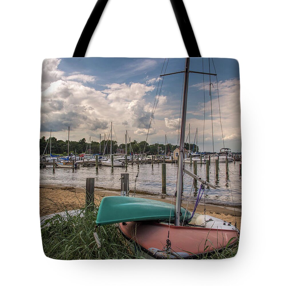Beach Tote Bag featuring the photograph In the weeds by Richard Macquade