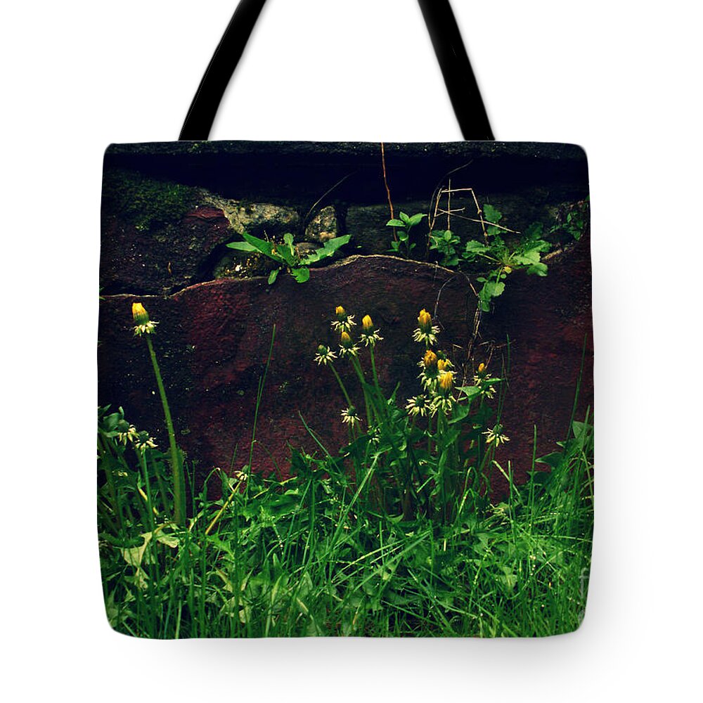 New England Daisy Green Farm Rain Tote Bag featuring the photograph In the wild by Kristine Nora