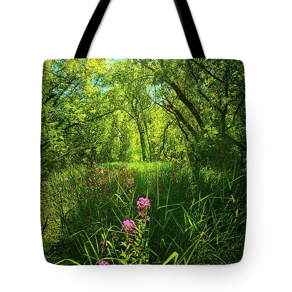 Sun Tote Bag featuring the photograph In The Woods by Phil Koch