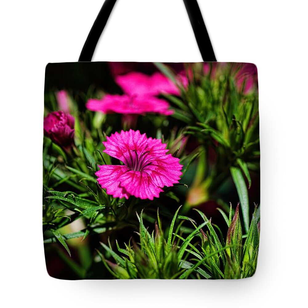 Bed Of Wild Flowers Tote Bag featuring the photograph In Your Bed by Diana Mary Sharpton