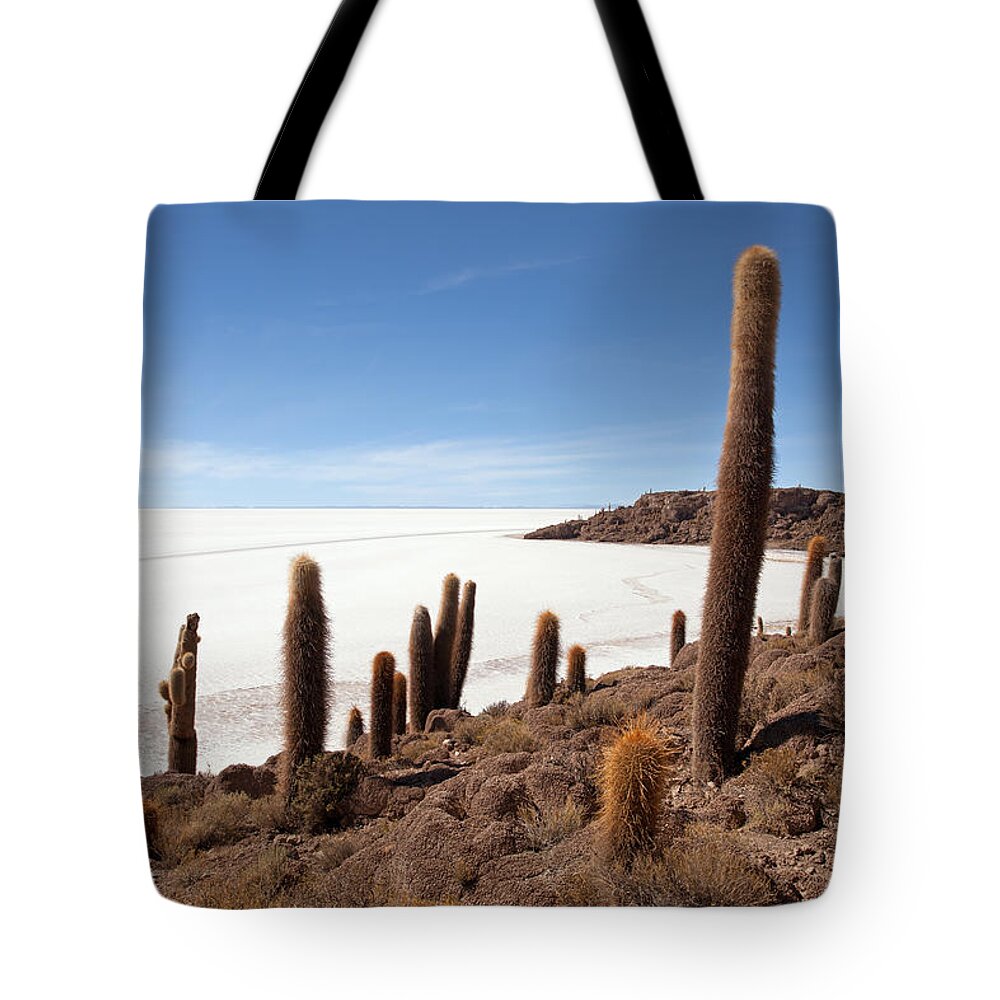 Giant Cacti Tote Bag featuring the photograph Incahuasi Island View with Giant Cacti and Salt Lake by Aivar Mikko