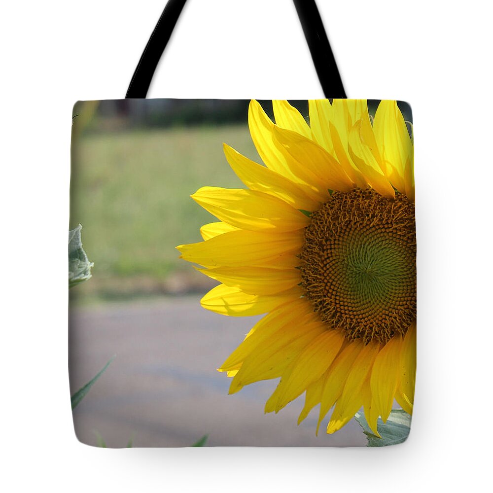 Bee Tote Bag featuring the photograph Incoming Bee by Karen Wagner