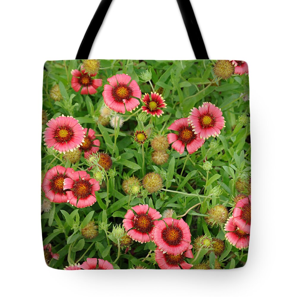Indian Blanket Flowers Tote Bag featuring the photograph Indian Blanket Flowers by Bradford Martin