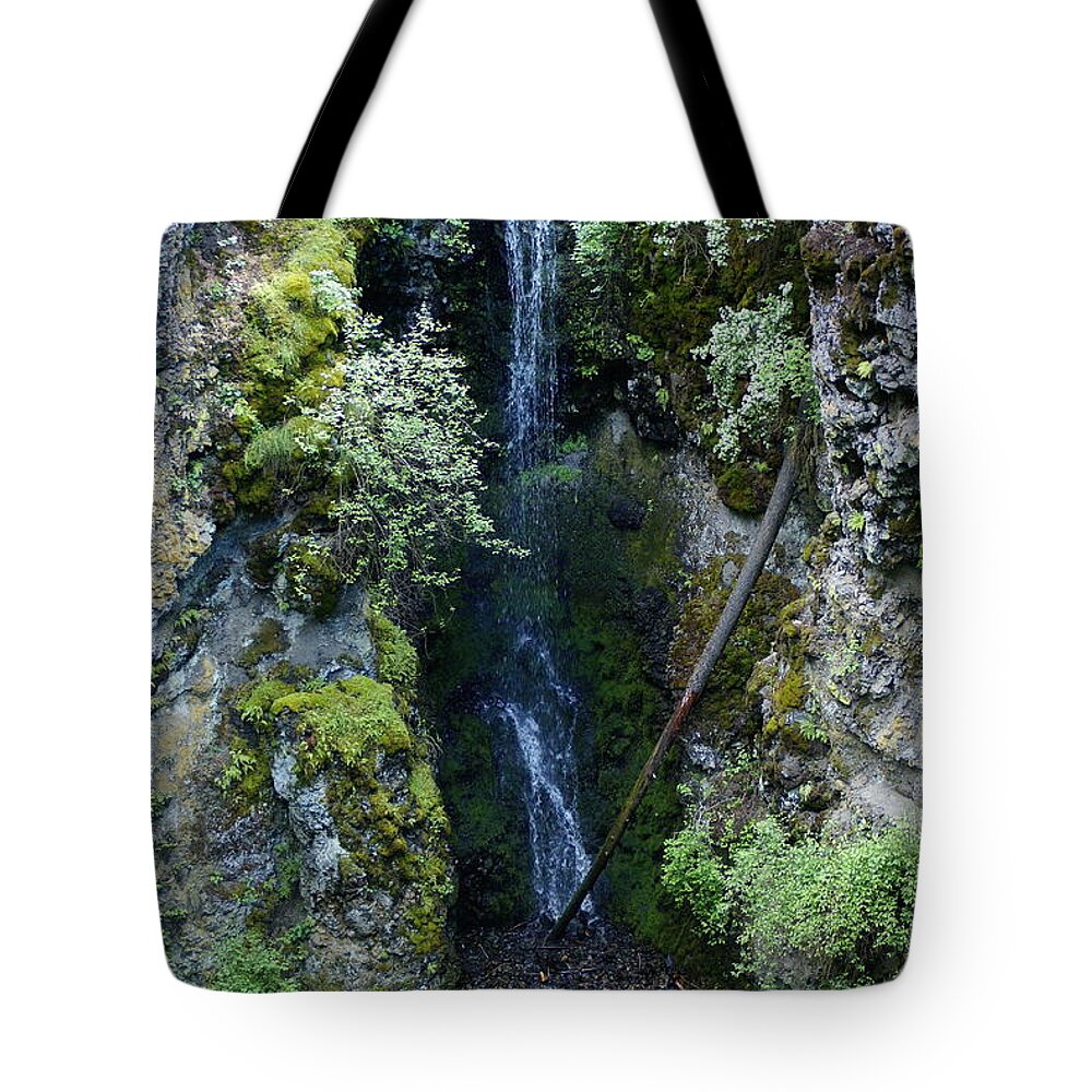 Nature Tote Bag featuring the photograph Indian Canyon Waterfall by Ben Upham III
