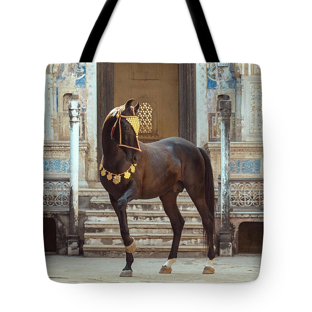 Russian Artists New Wave Tote Bag featuring the photograph Indian Treasure by Ekaterina Druz