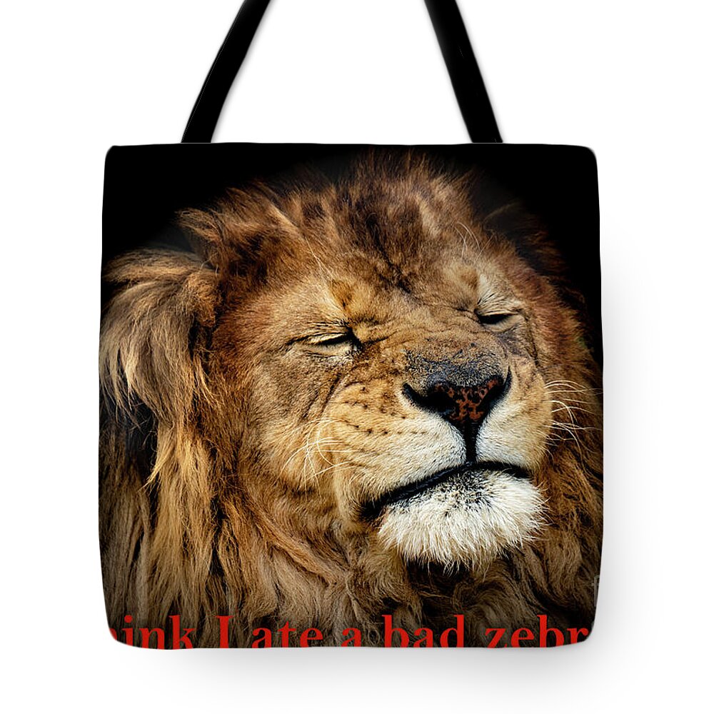 Lion Tote Bag featuring the photograph Indigestion by Sam Rino