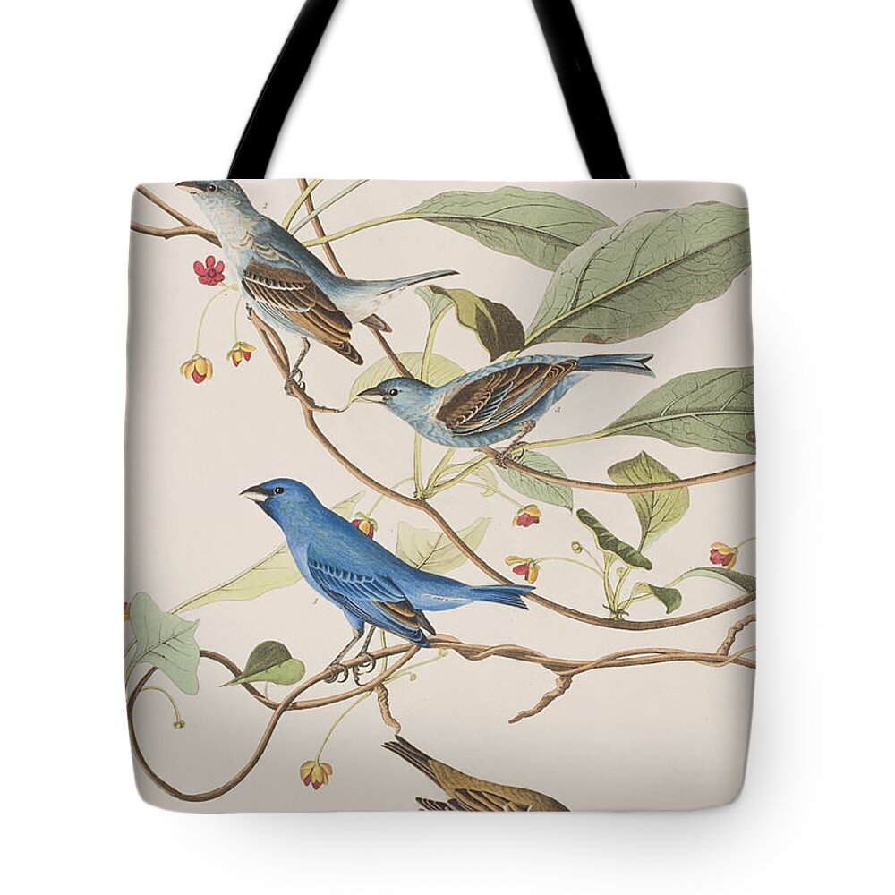 Indigo Bird Tote Bag featuring the painting Indigo Bird by John James Audubon