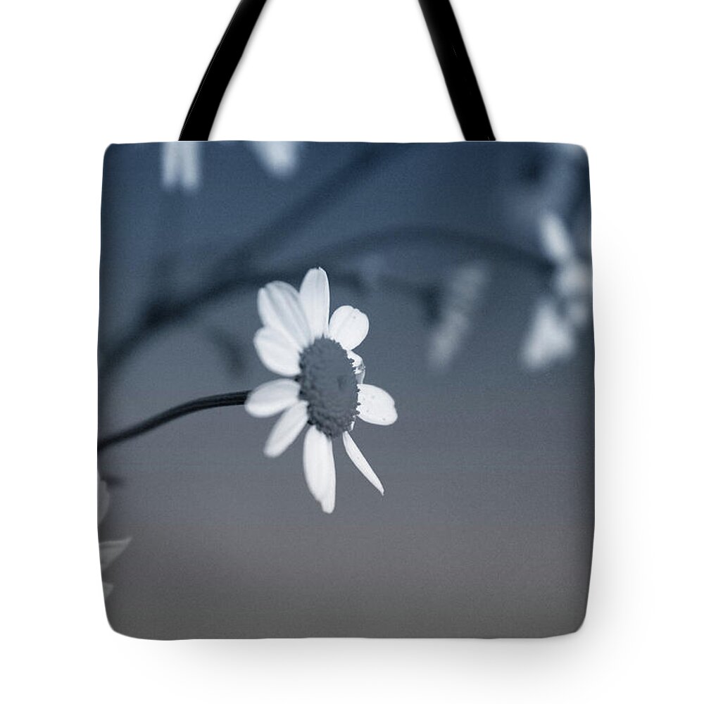Floral Tote Bag featuring the mixed media Indigo Daisies 1- Art by Linda Woods by Linda Woods