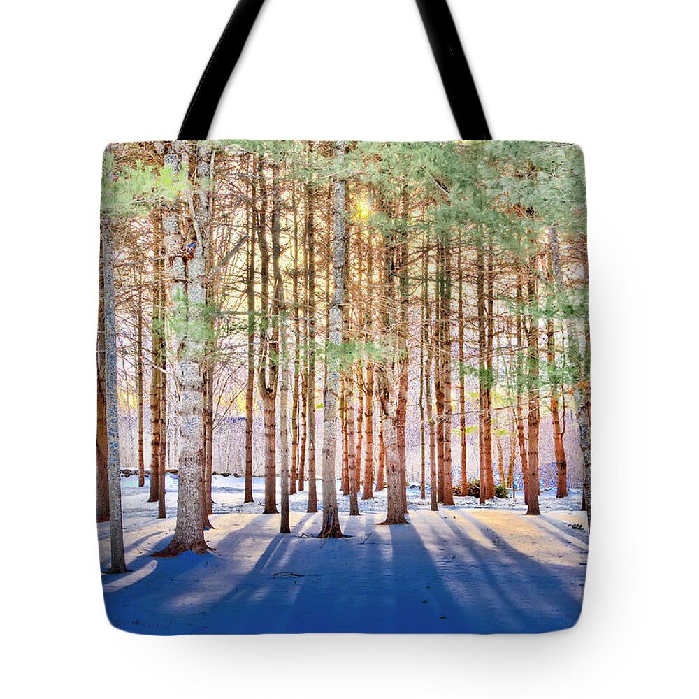 Treescape Tote Bag featuring the photograph Indigo Spread by Jeff Cooper