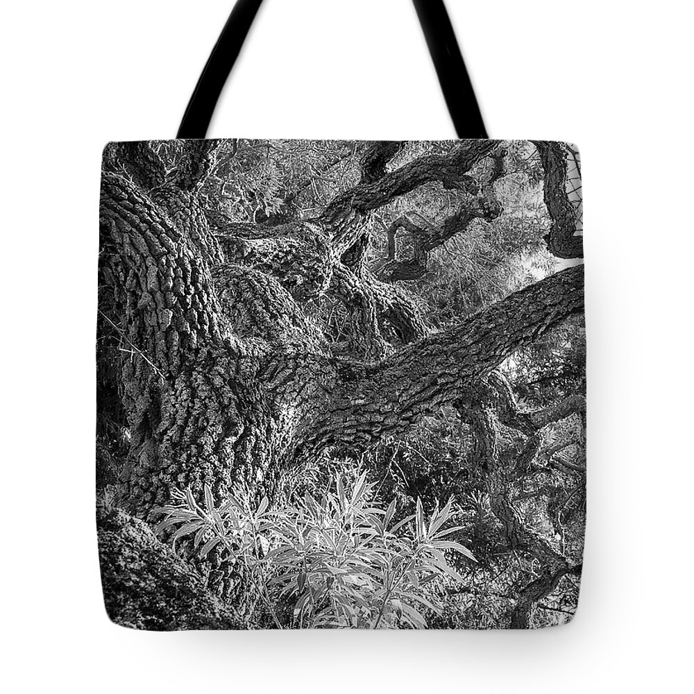 B/w Tote Bag featuring the photograph Convolutions by Dean Birinyi