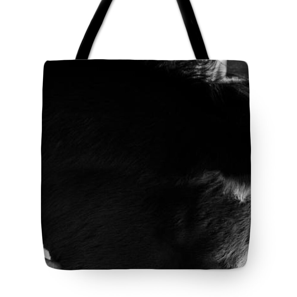 Andalusia Tote Bag featuring the photograph Initiation 1 by Catherine Sobredo