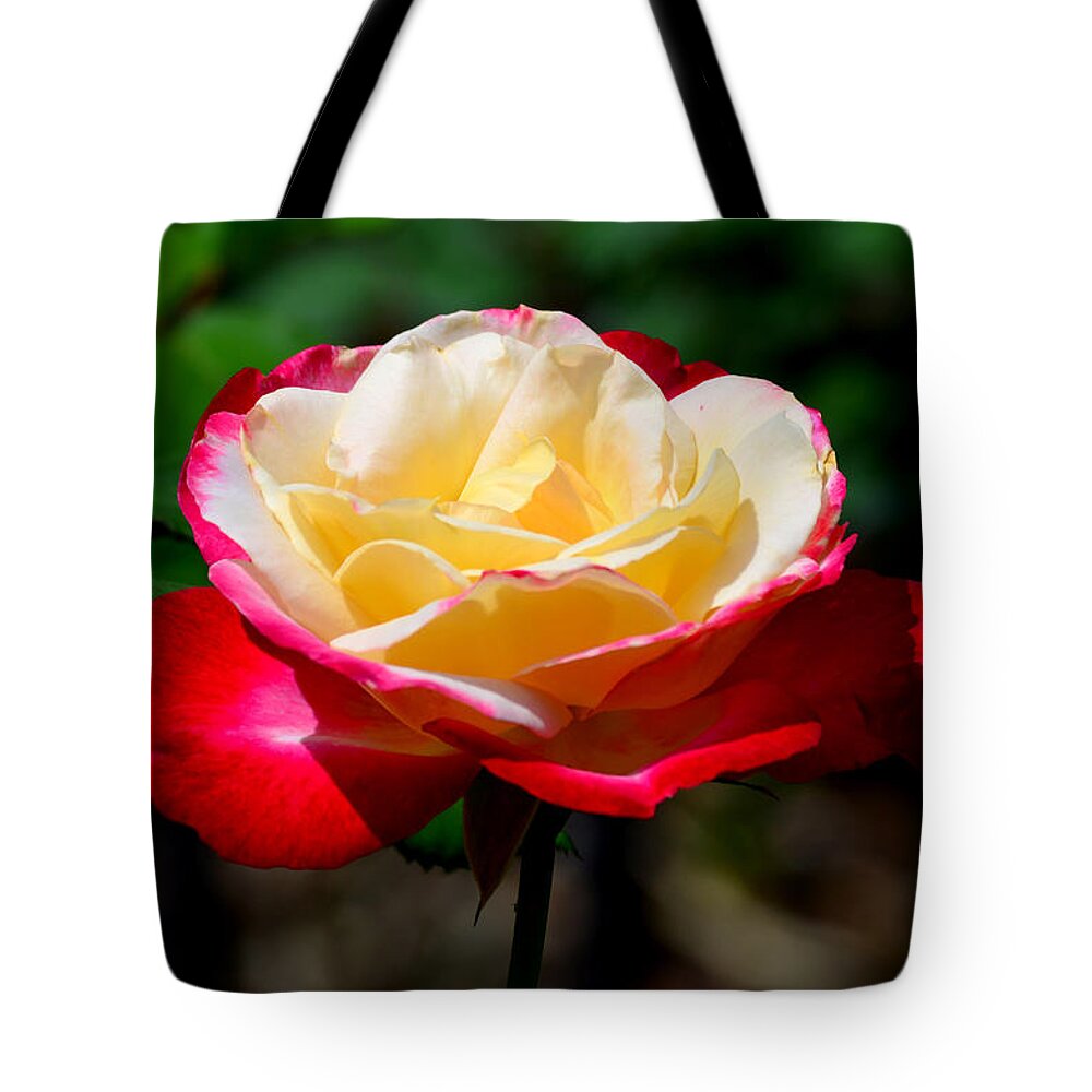 Art Tote Bag featuring the photograph Innocent center by Bradley Dever