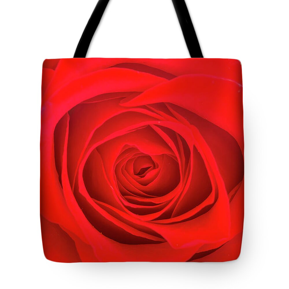 Valentine Tote Bag featuring the photograph Inside a Rose by Teri Virbickis