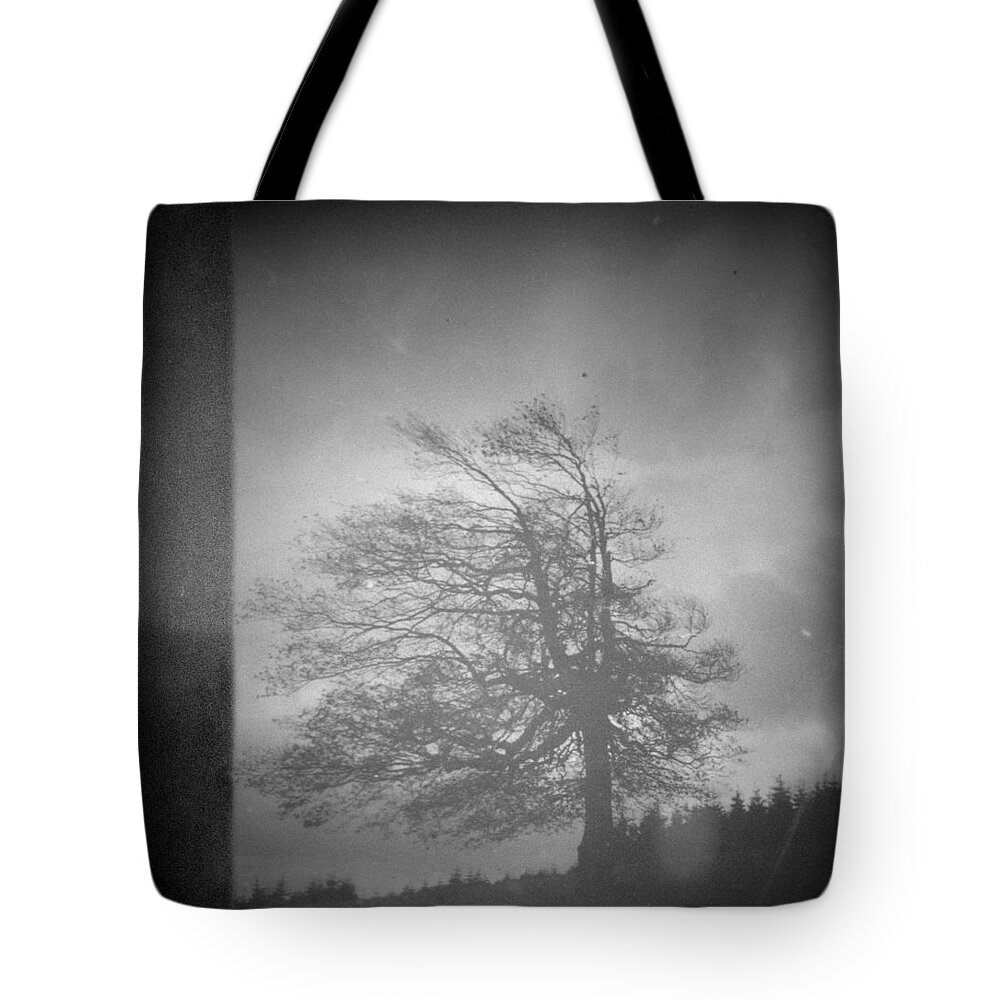 Tree Tote Bag featuring the photograph Inside Voice by Mark Ross