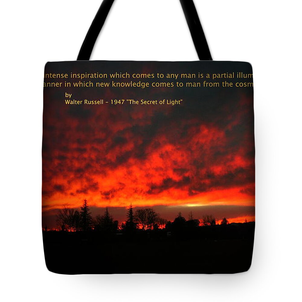 Inspiration Tote Bag featuring the photograph Inspiration by Joyce Dickens