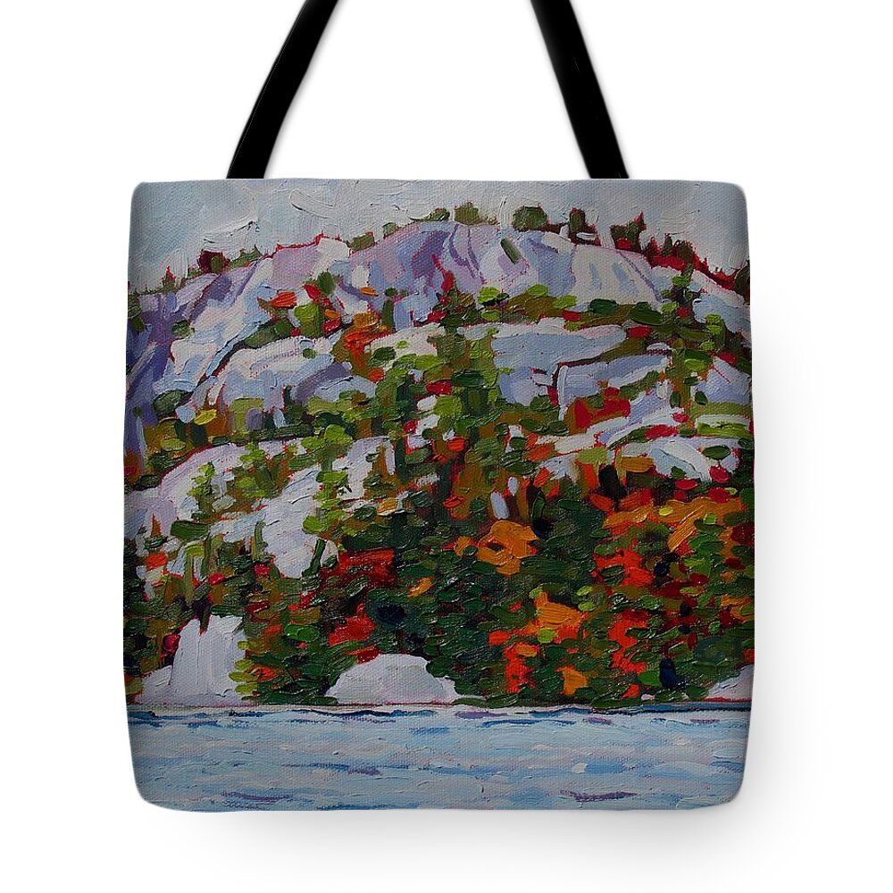 885 Tote Bag featuring the painting Inspirational Killarney by Phil Chadwick
