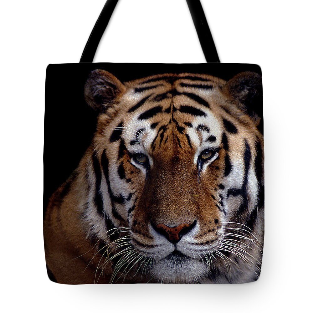 Nature Tote Bag featuring the photograph Intense by Skip Willits