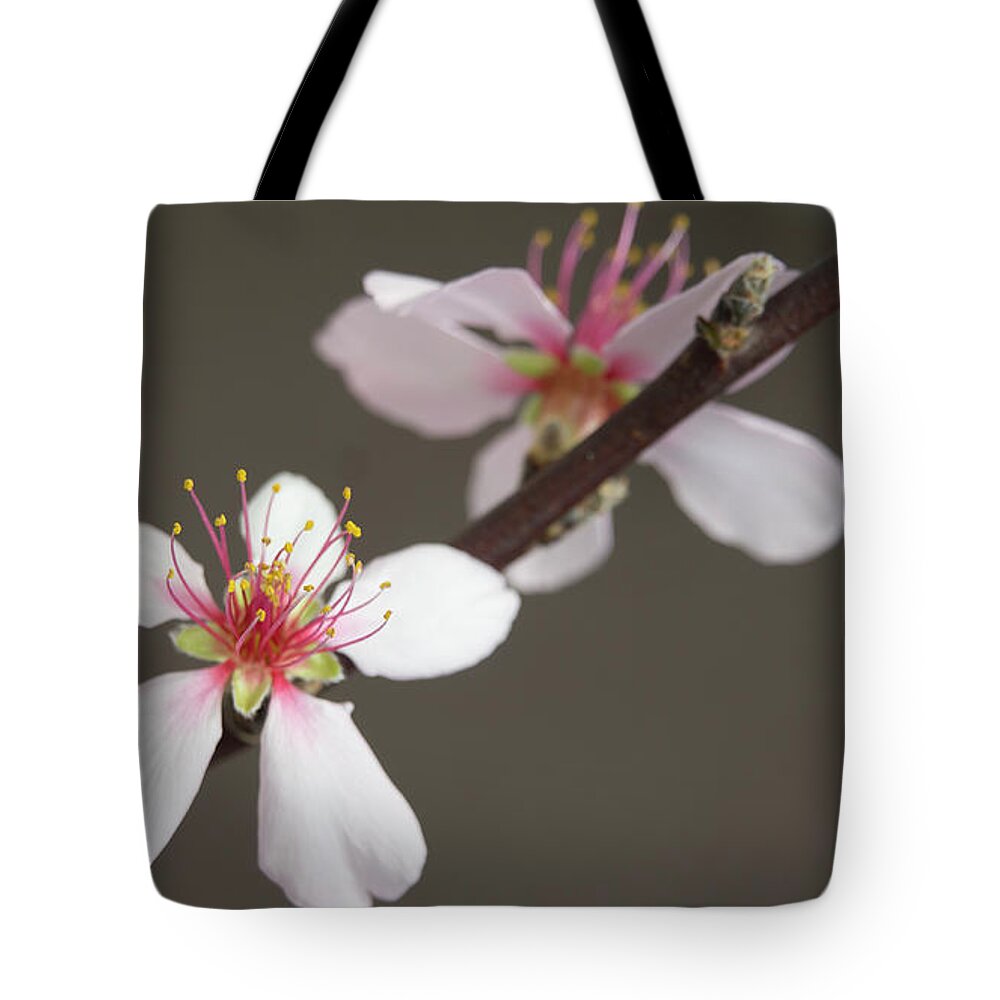 Blossom Tote Bag featuring the photograph Intimacy by Elena Perelman