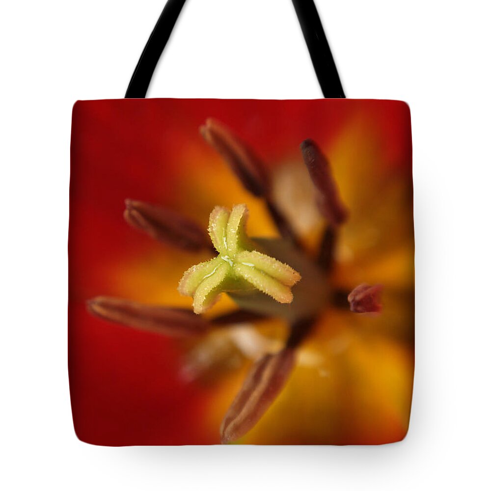 Flowers Tote Bag featuring the photograph Intimate View Of A Tulip by Dorothy Lee