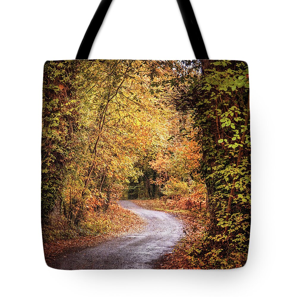 Kremsdorf Tote Bag featuring the photograph Into The Autumnsphere by Evelina Kremsdorf