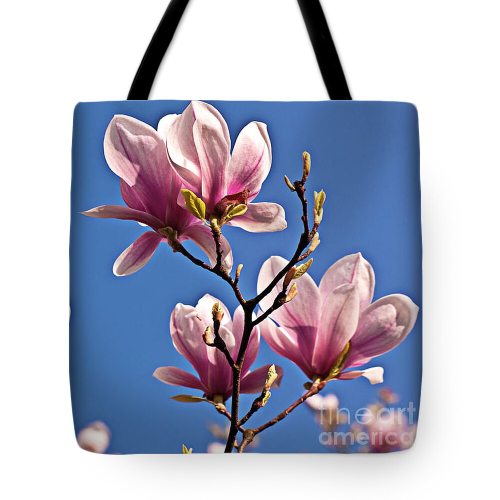 Into The Blue Tote Bag featuring the photograph INTO the BLUE by Silva Wischeropp