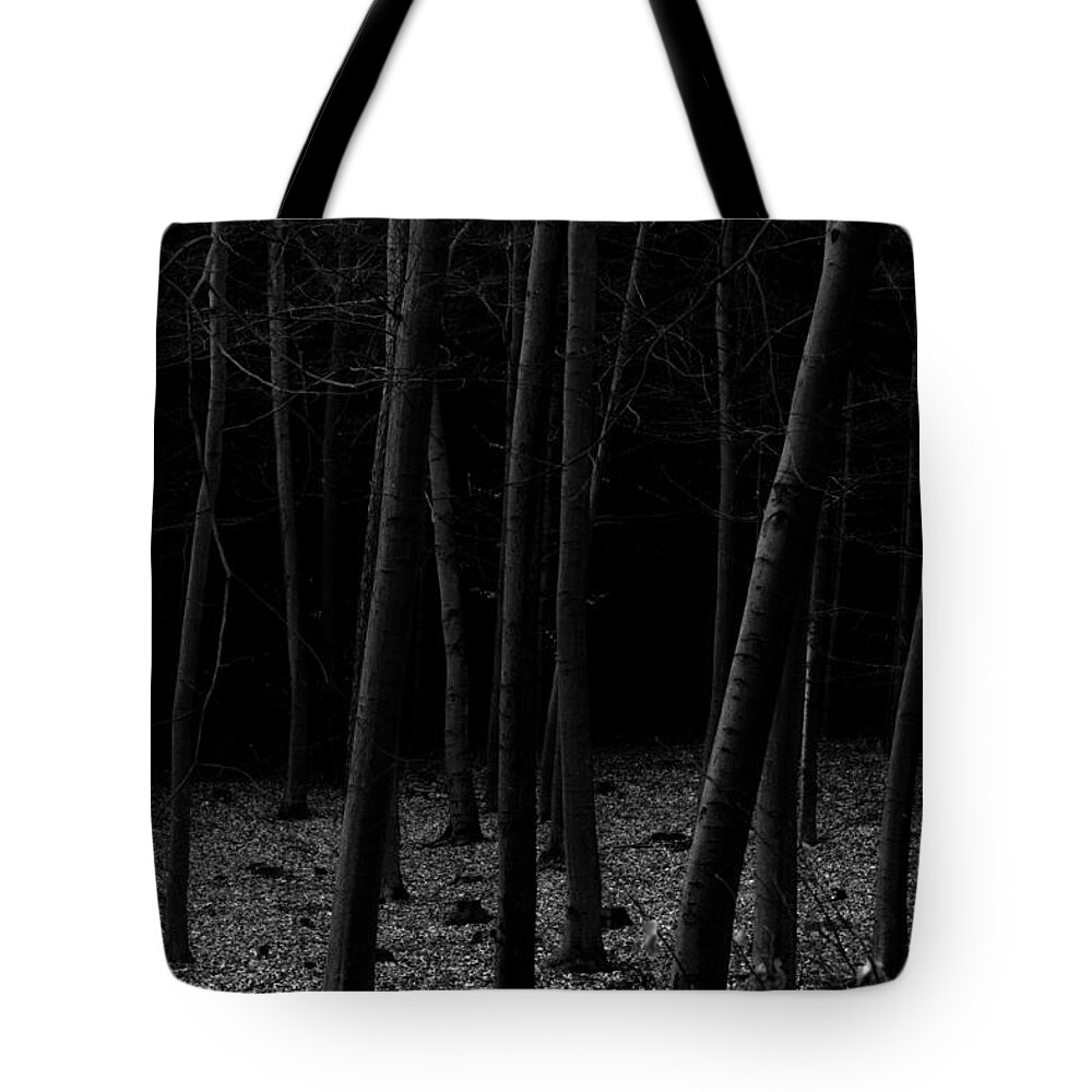 Fine Art Tote Bag featuring the photograph Silent Woods by Dorit Fuhg