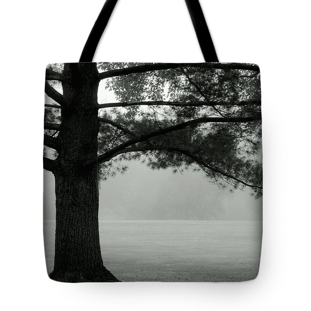 Summertime Tote Bag featuring the photograph Into the Grey Wide Open by Wild Thing