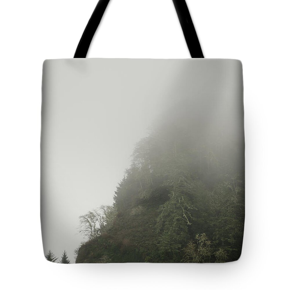 Cape Tote Bag featuring the photograph Into The Mist by Anthony Doudt