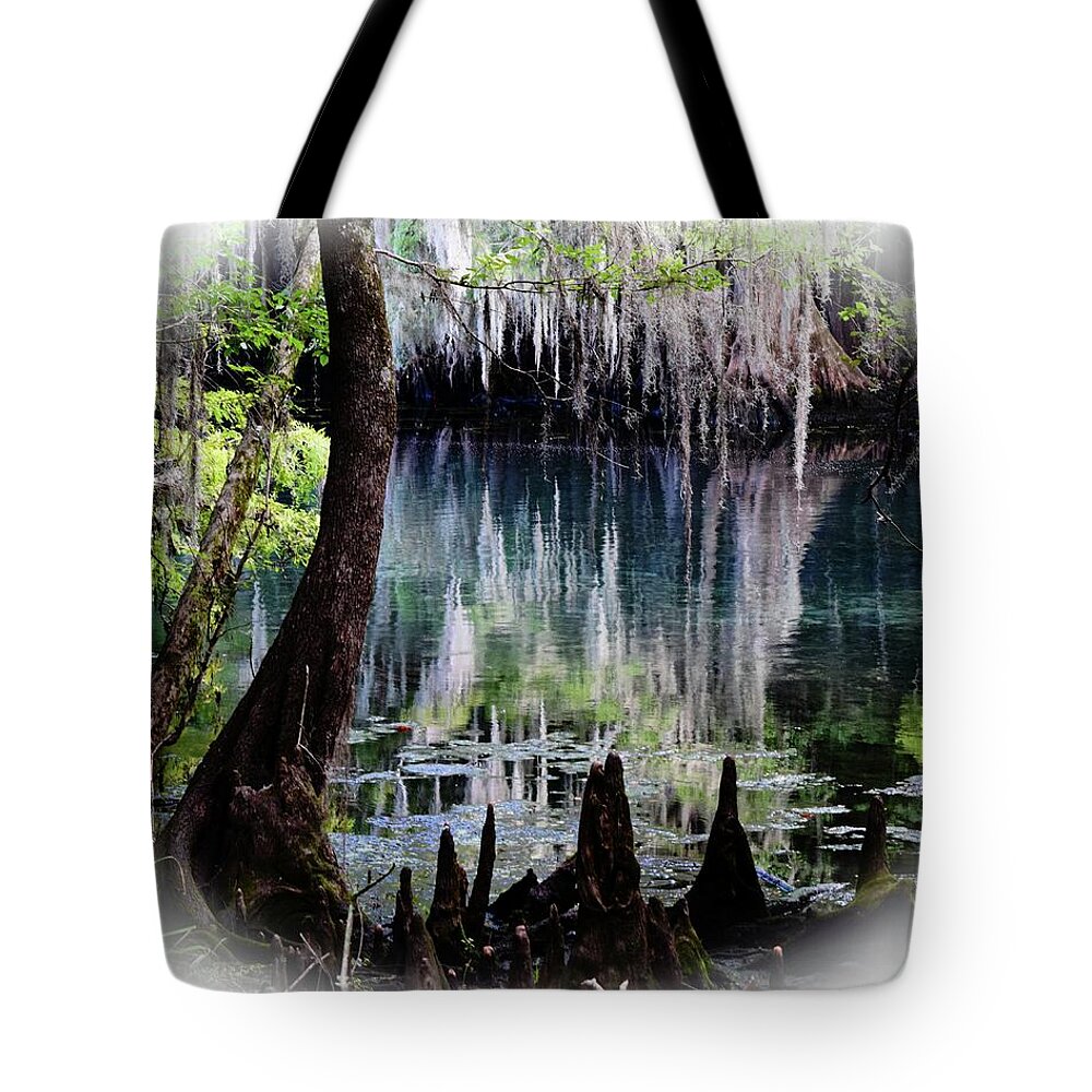 Manatee Springs Chiefland Florida Tote Bag featuring the photograph Into the Past by Sheri McLeroy