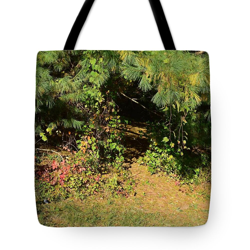  Tote Bag featuring the photograph Into the Unknown 1 by R Allen Swezey