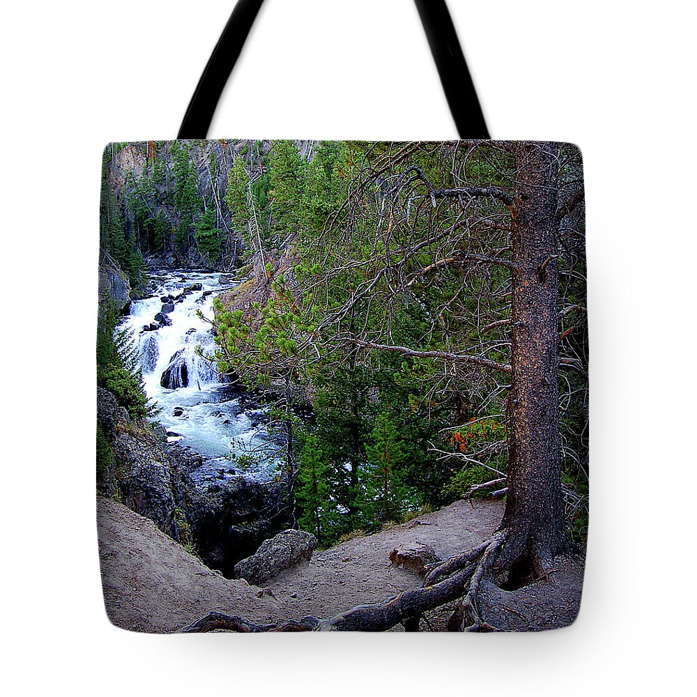 Diane Berry Tote Bag featuring the photograph Into The Wild by Diane E Berry