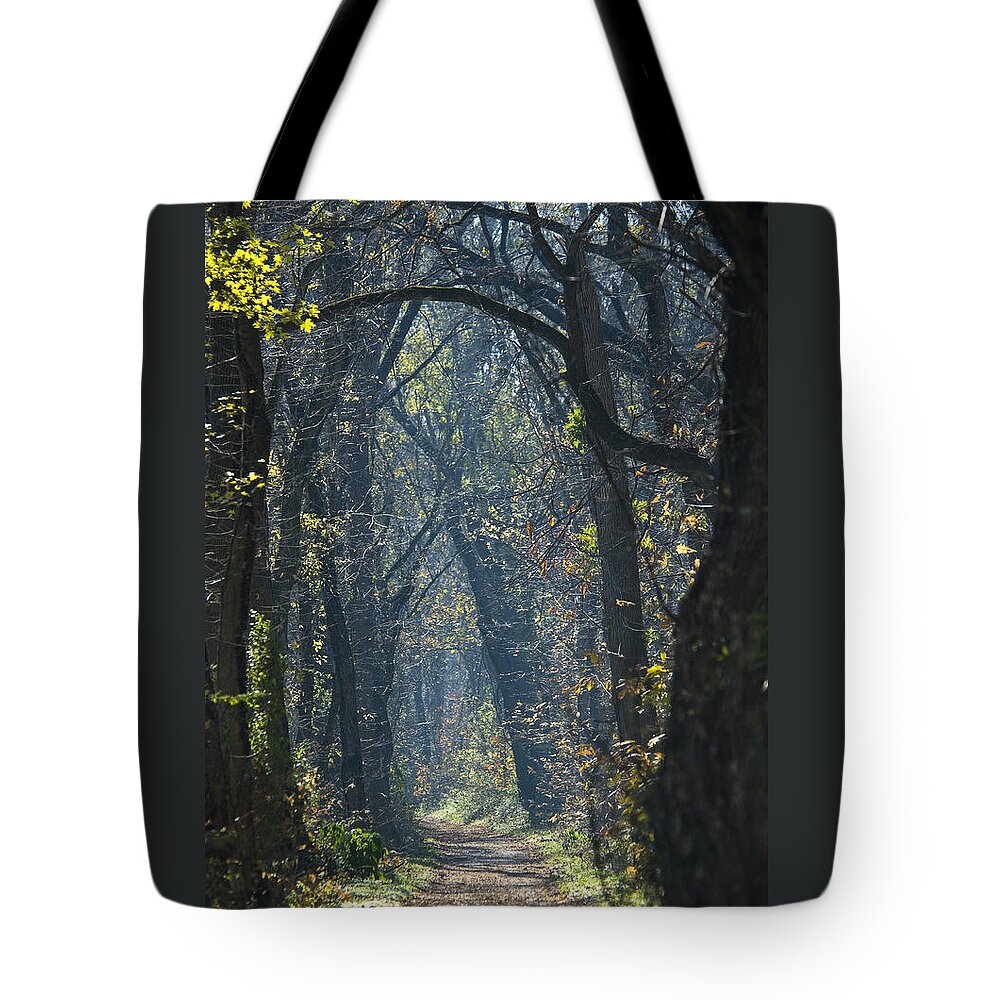 American Tote Bag featuring the photograph Into The Wood by Brian Green