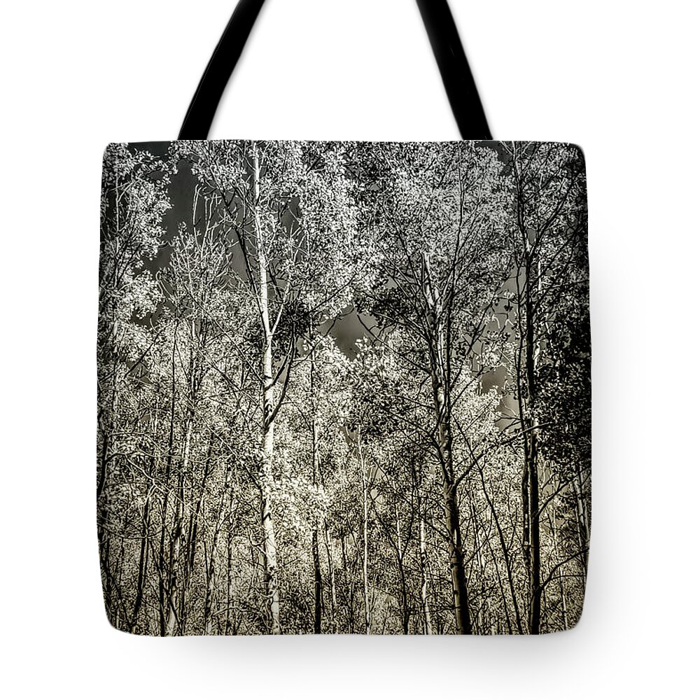 Desert Forest Garden Tote Bag featuring the digital art Into The Woods by Becky Titus