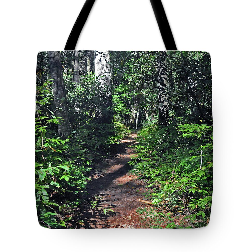Nature Tote Bag featuring the photograph Into the Woods by Kay Lovingood