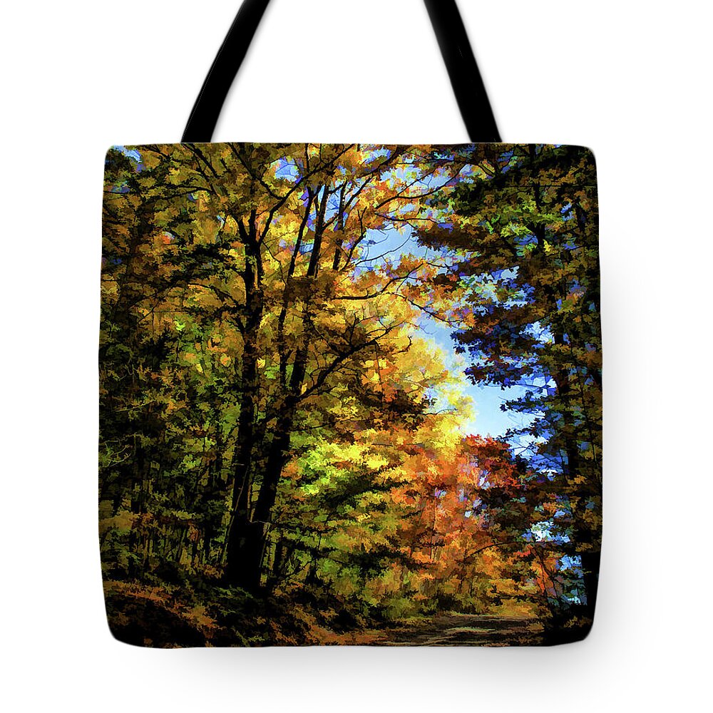 2006 Tote Bag featuring the photograph Into the Woods by Monroe Payne