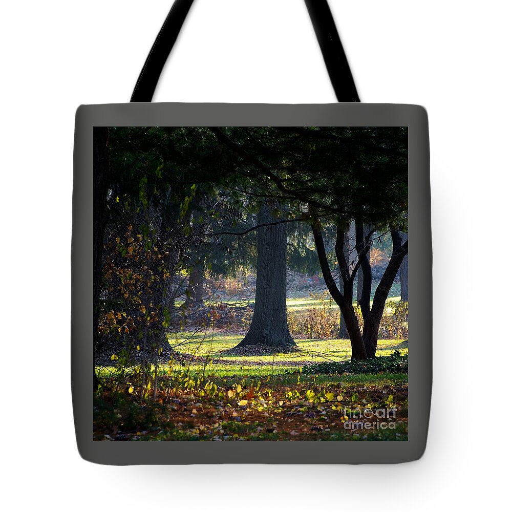 Frank J Casella Tote Bag featuring the photograph Intrigued by the Light by Frank J Casella