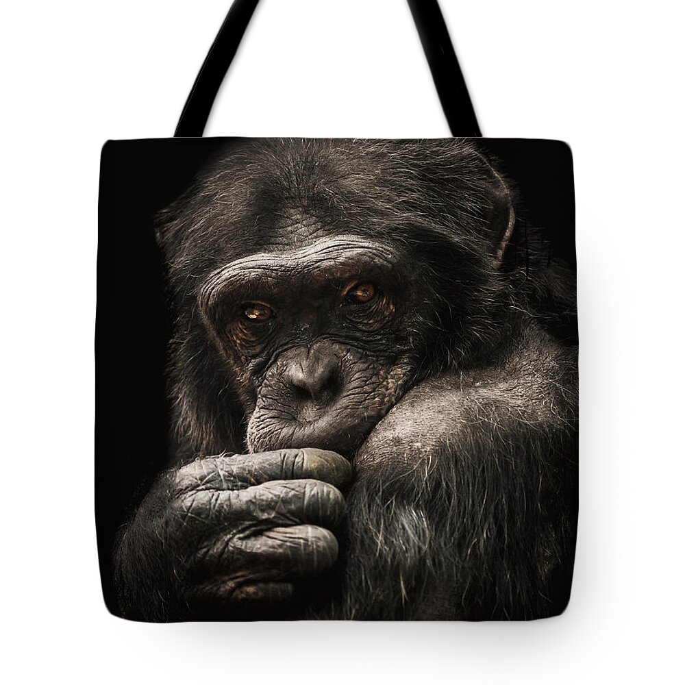 Chimpanzee Tote Bag featuring the photograph Introvert by Paul Neville