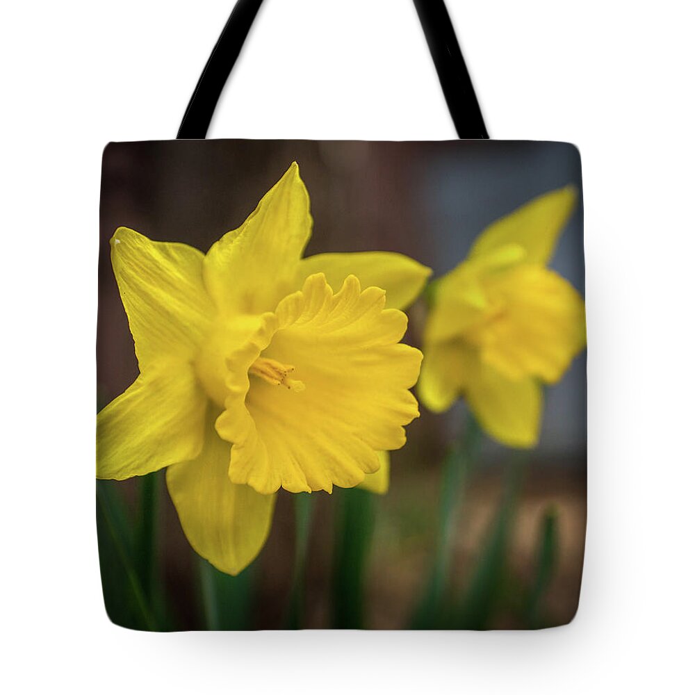 Yellow Tote Bag featuring the photograph Invitation to Spring by Bill Pevlor