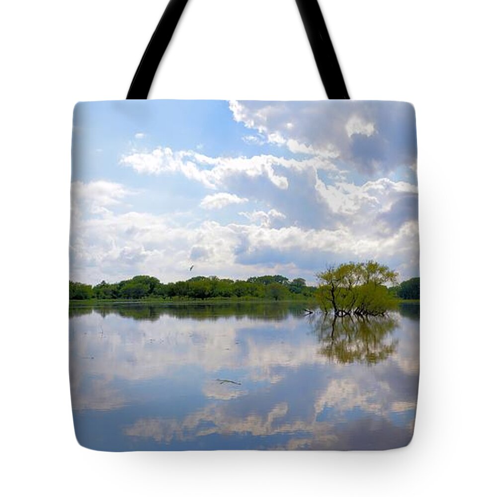 Flood Tote Bag featuring the photograph Iowa Flood Plains Panorama by Bonfire Photography