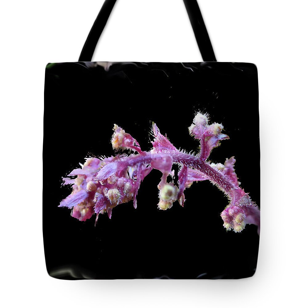 Plant Tote Bag featuring the photograph Ipomoea batatas by Leon deVose