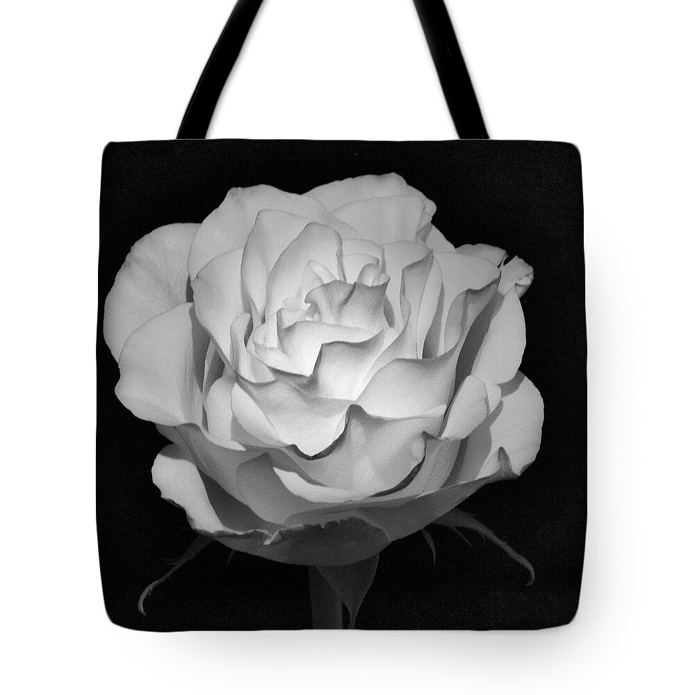 Infrared Tote Bag featuring the photograph IR Rose by John Roach