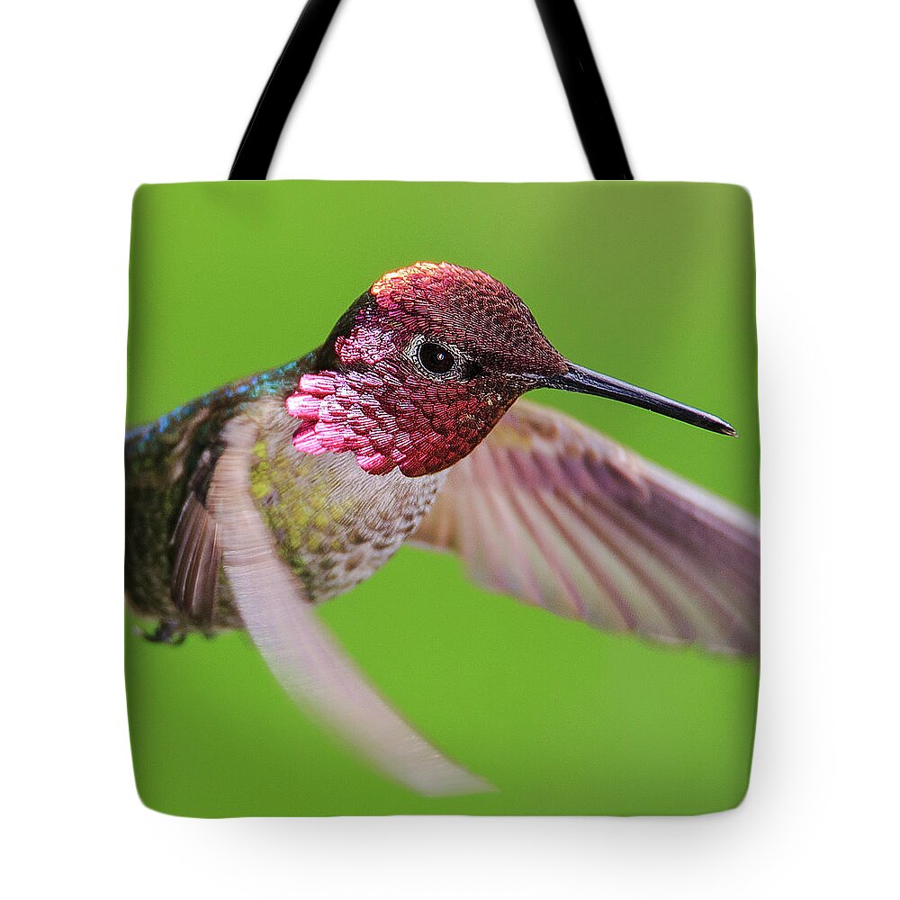 Bird Tote Bag featuring the photograph Iridescent Inquisitor by Briand Sanderson