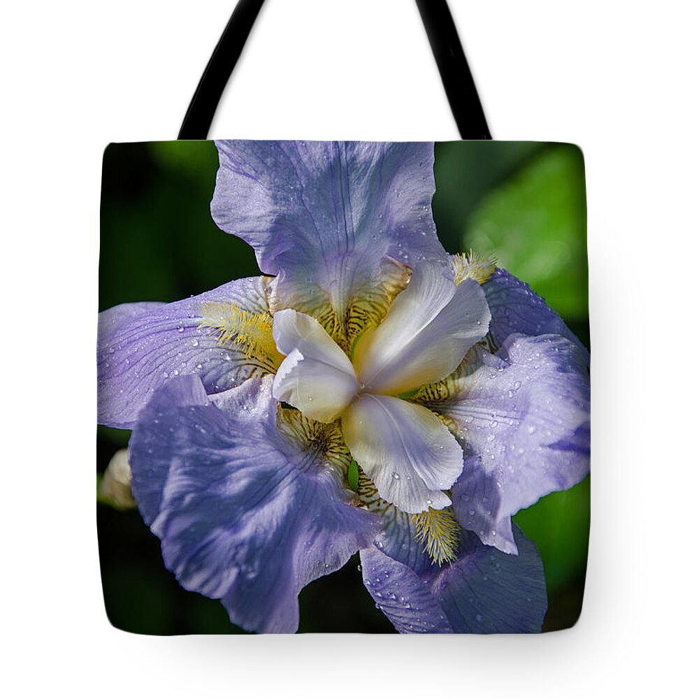 Iris Tote Bag featuring the photograph Iris  3 by Susan McMenamin
