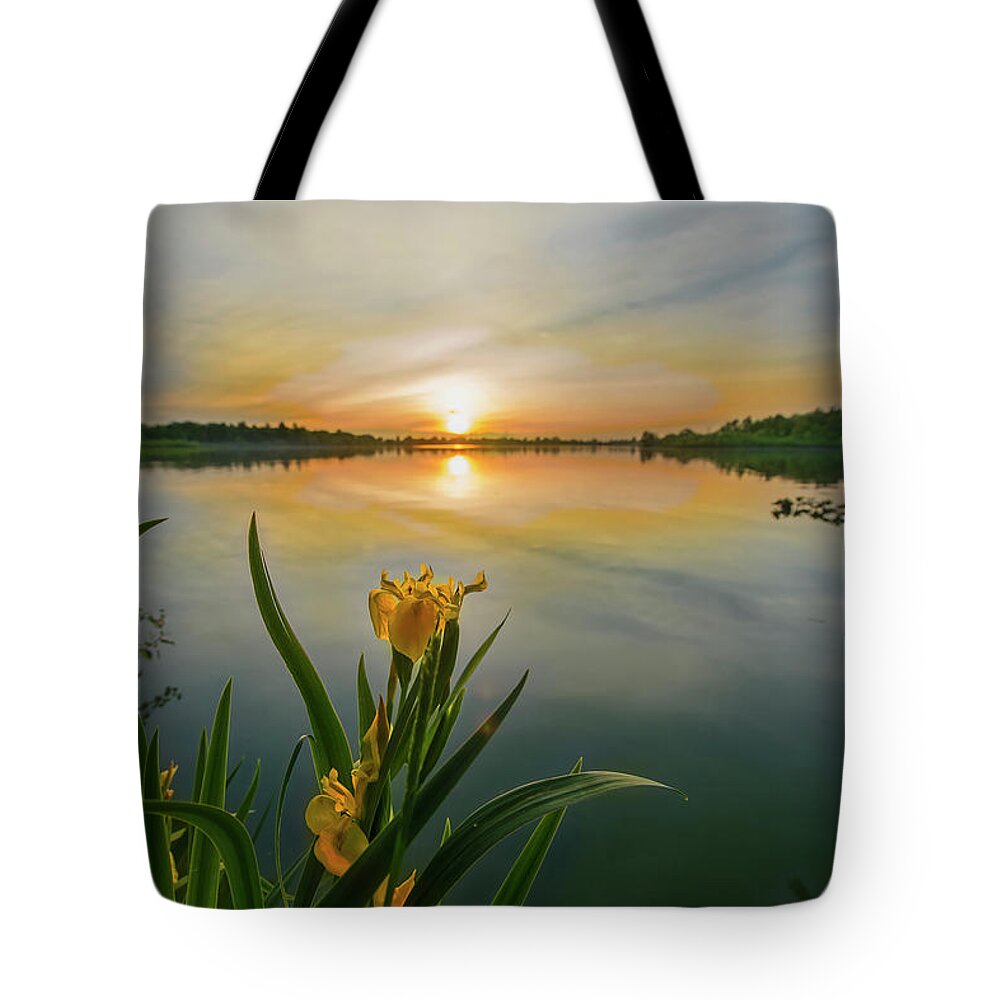 Iris Tote Bag featuring the photograph Iris at Sundown by David Arment