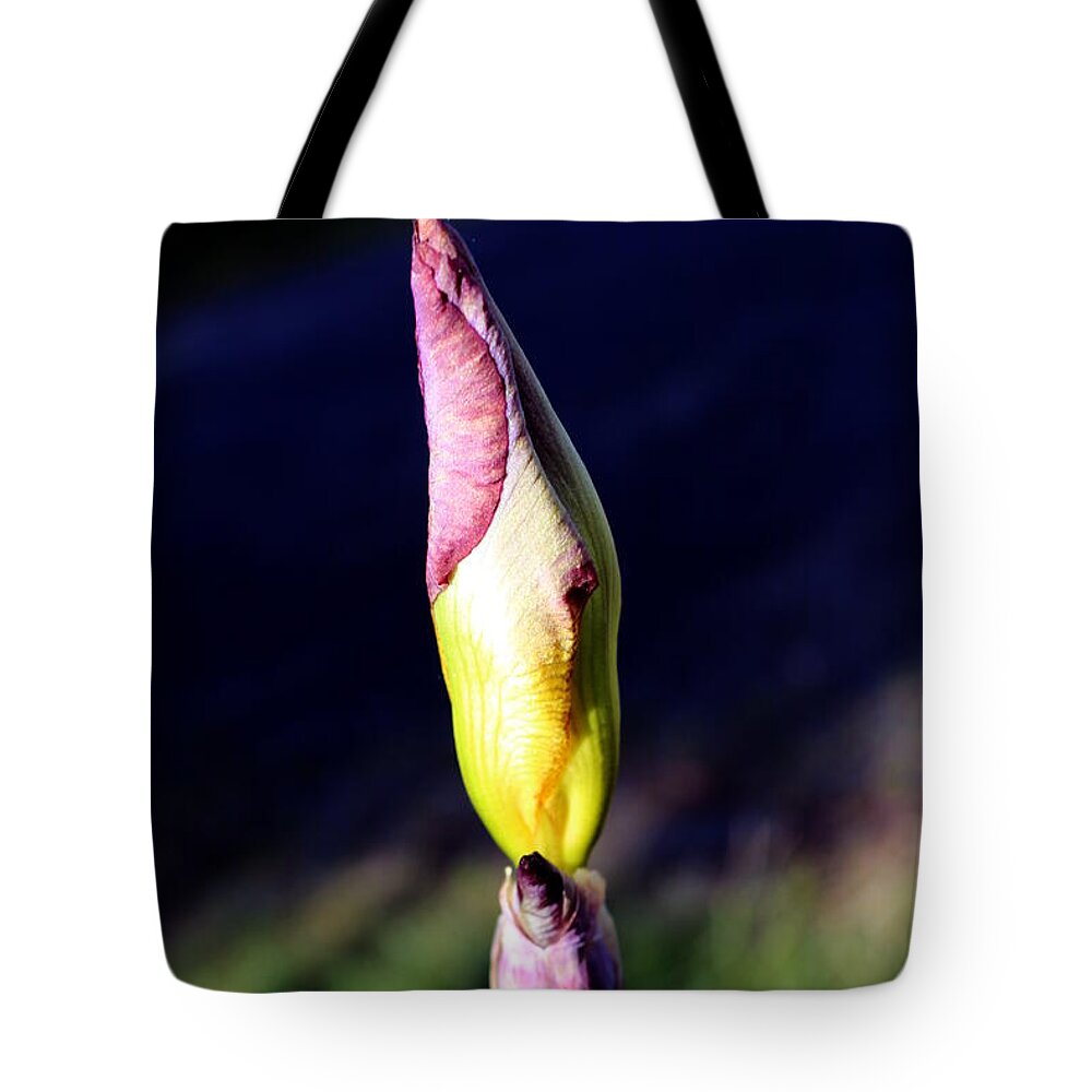 Iris Tote Bag featuring the photograph Iris bud by Jean Evans