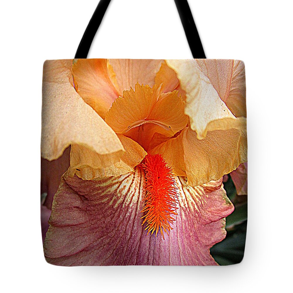 Iris Tote Bag featuring the photograph Iris Garden 19 by Randall Weidner