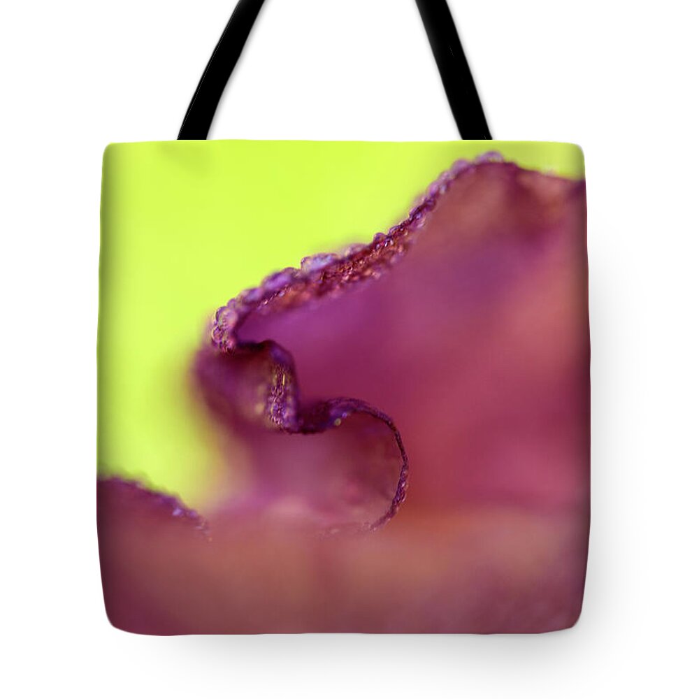 Contempoary Photograph Of An Iris Flower Tote Bag featuring the photograph Iris in Lavender and Green by Iris Richardson