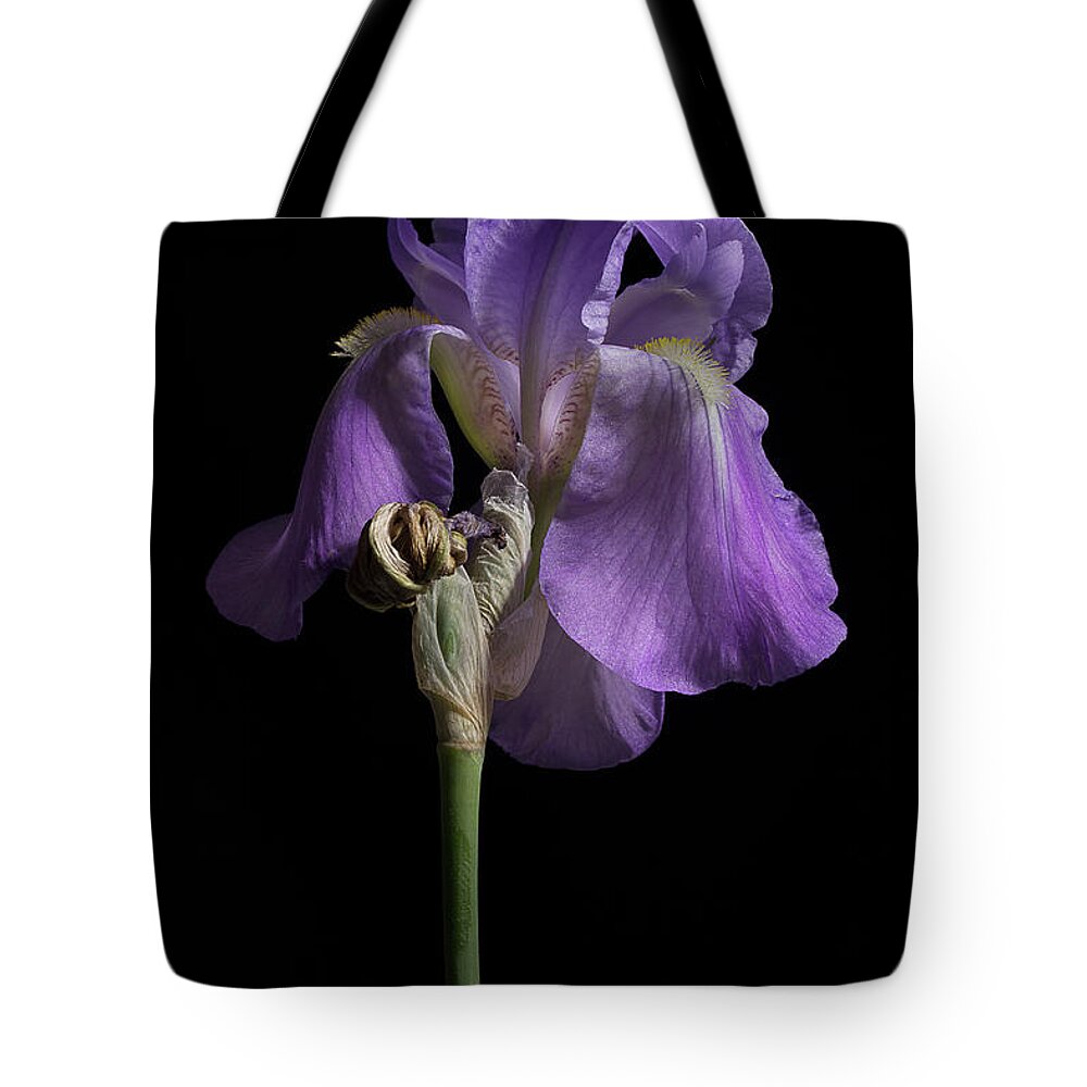Purple Iris Tote Bag featuring the photograph Iris Series 1 by Mike Eingle