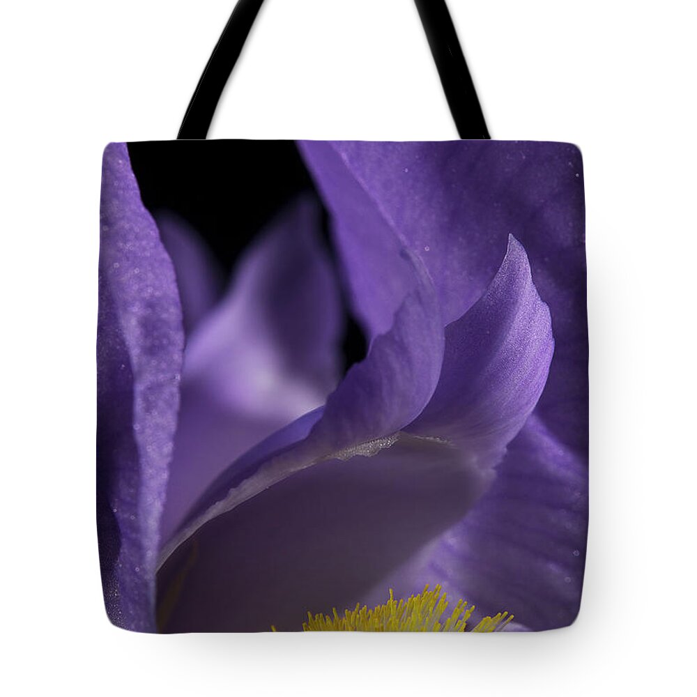 Purple Iris Tote Bag featuring the photograph Iris Series 2 by Mike Eingle